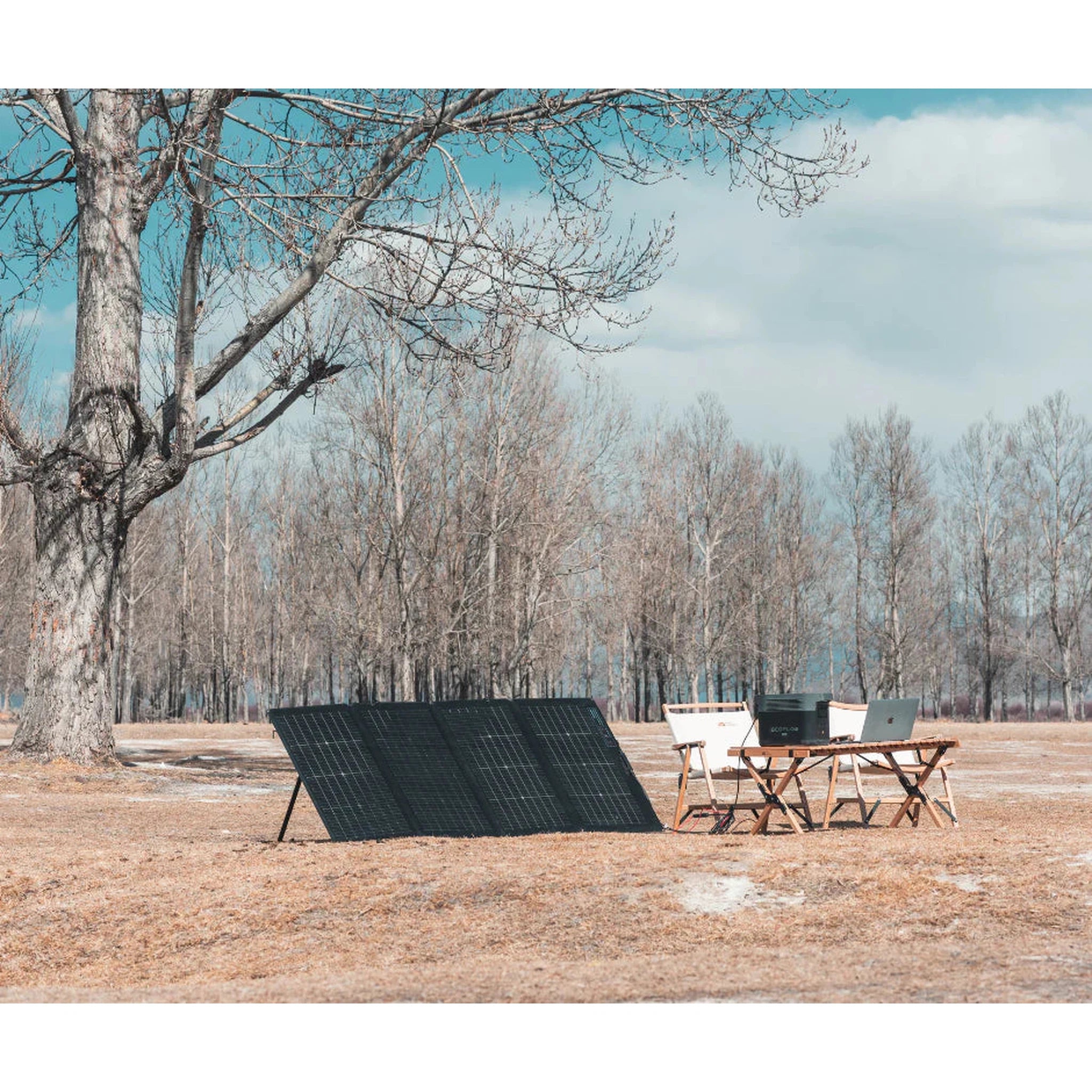 EcoFlow Eclipse Package | DELTA 2 + 1 x 220W Bifacial Portable Solar Panel + Complete Accessories