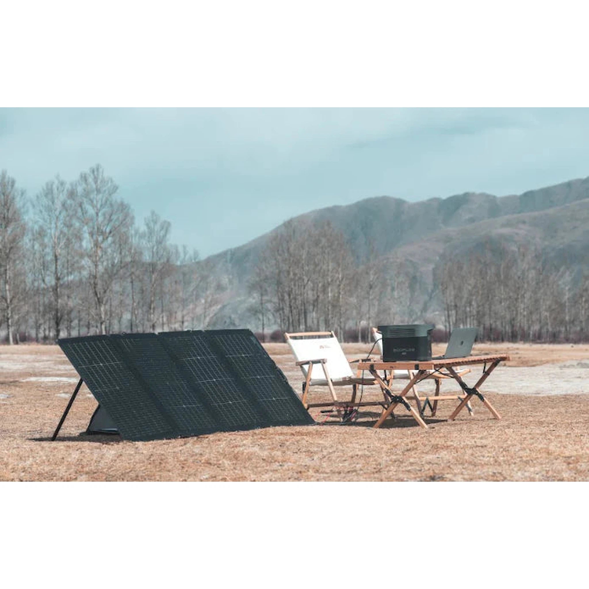 EcoFlow DELTA Max 2000 + 220W Solar Panel