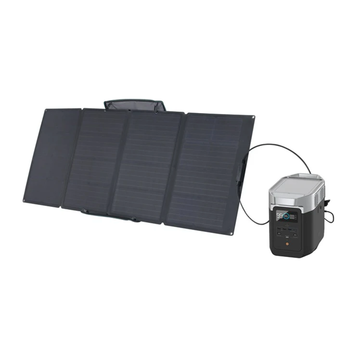 EcoFlow DELTA 2 + 160W Portable Solar Panel