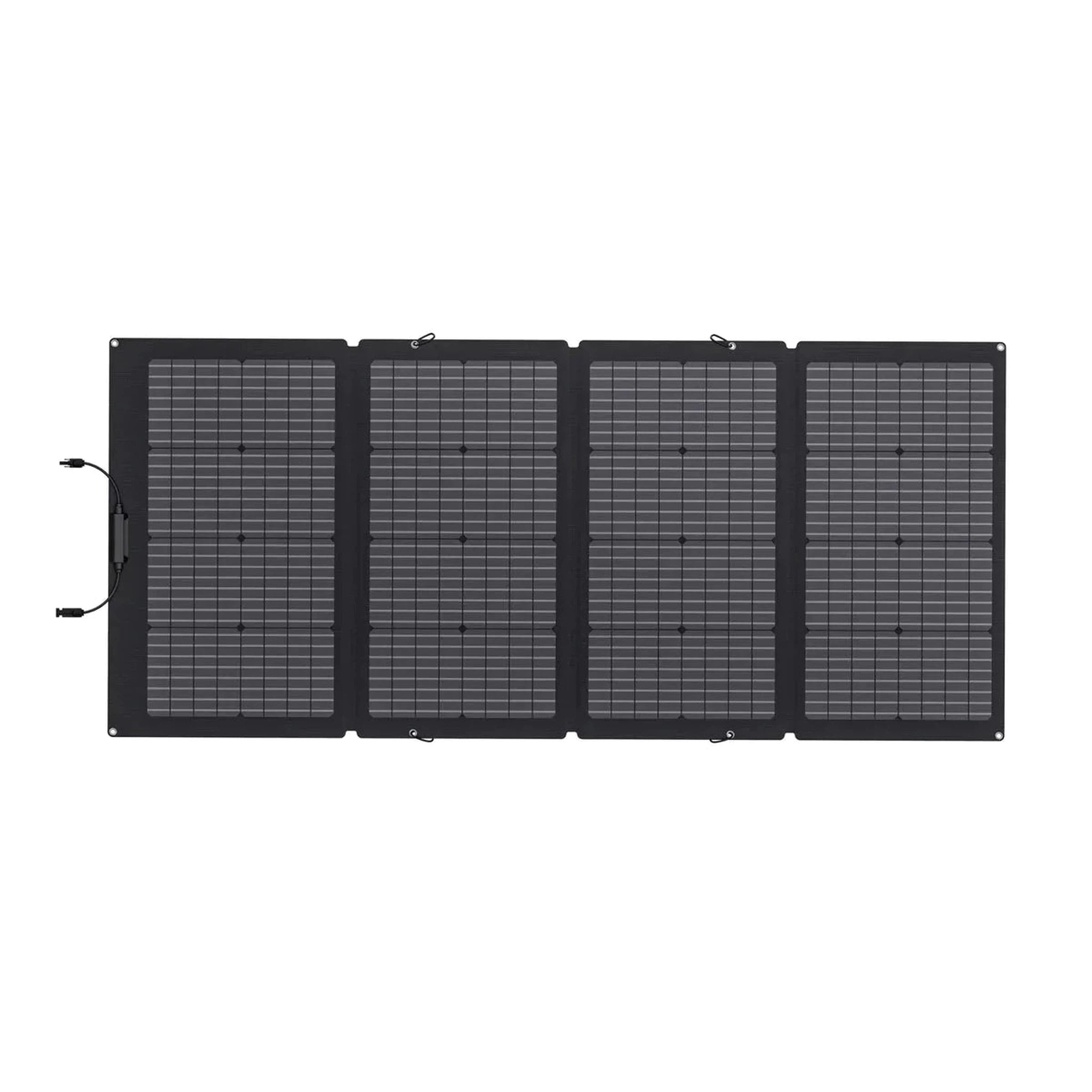 EcoFlow Eclipse Package | DELTA 2 + 1 x 220W Bifacial Portable Solar Panel + Complete Accessories