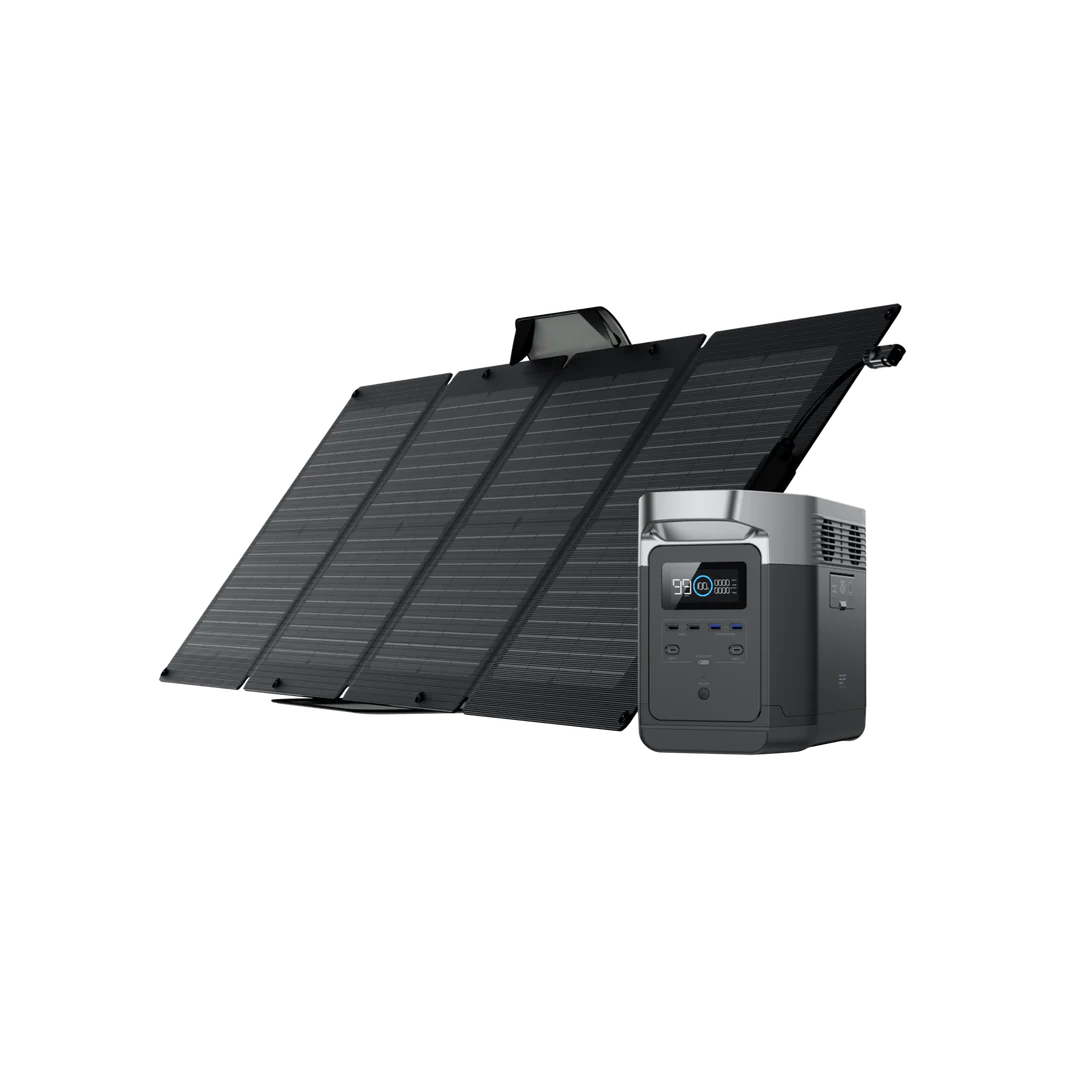 EcoFlow DELTA 1000 + 110W Solar Panel