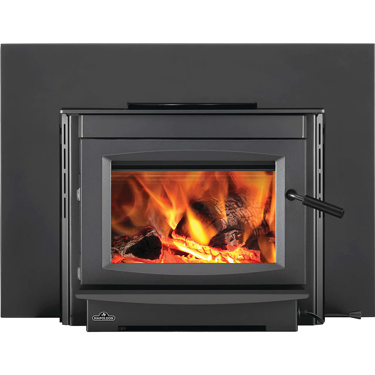 Napoleon Medium Cast-Iron Wood-Burning Charcoal Finish Fireplace Insert