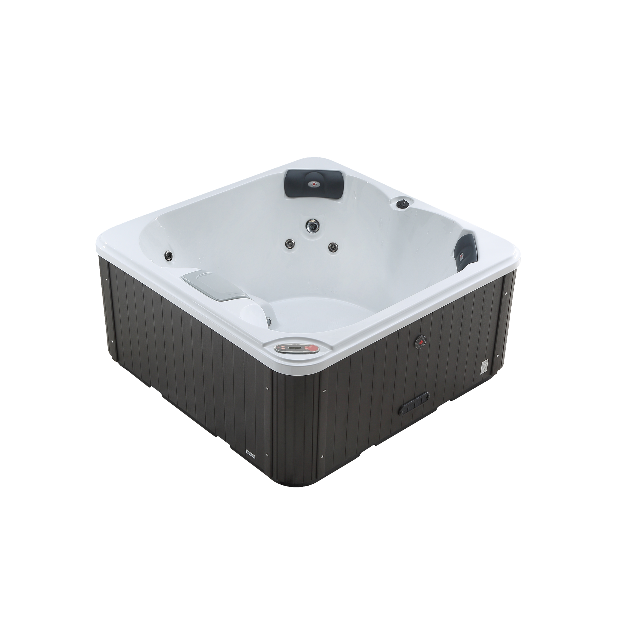 Saskatoon 4-Person 12-Jet Portable Hot Tub